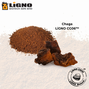 มาเลเซีย ผลิตภัณฑ์ขายดี Chaga LiGNO CG06 ได้รับการรับรองฮาลาลและโคเชอร์ เกรดความงามระดับพรีเมียม รับผลิตแบบ OEM ODM ผลิตภัณฑ์บำรุงผิวหน้า - Product Image 2