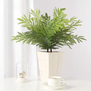 AYOYO OEM Simulation de Main Sensation Petite Feuille de <span class=keywords><strong>Jue</strong></span> Mimosa Fleur Artificielle Décoration Feuille de <span class=keywords><strong>Jue</strong></span> - Product Image 4