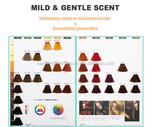 Factory Direct <strong>Men</strong> <strong>Hair</strong> Color Cream Honey <strong>Blonde</strong> Semi Permanent <strong>Hair</strong> <strong>Dye</strong> Non-Damage Salon Grade <strong>Hair</strong> Color Cream - Product Image 4