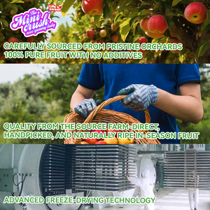 Đồ ăn nhẹ lành mạnh bán buôn trái cây có hương vị kẹo phồng giòn đông lạnh lát trái cây táo khô trong bao bì túi - Product Image 3