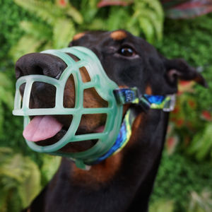 Bozal colorido para perros, canasto de silicona para perros, dispositivo para evitar morder y ladrar - Product Image 4