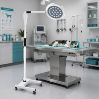 Lampe d'examen vétérinaire LED portable sans ombre pour clinique vétérinaire