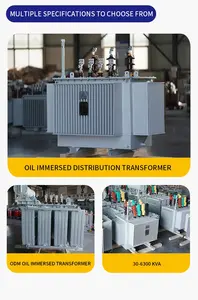 Transformador imerso em óleo personalizado OEM/ODM 6KVA-50KVA 100KVA 200KVA 630KVA 800KVA-6300KVA transformadores elétricos 220V 380V 400V