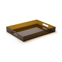 Assiettes acryliques élégantes et modernes pour le service des aliments pour les tables basses Coiffeuses Plateau à thé et à fruits Bars et rassemblements de cuisine