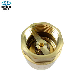 1/2 - 1.5 inch Nữ dọc Brass kiểm tra van - Product Image 3