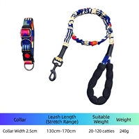 Laisse de chien classique en nylon rétractable, élastique et absorbant les chocs, laisse solide avec collier pour chiens de taille moyenne