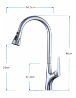 Robinet de cuisine en acier inoxydable avec douchette extractible, mélangeur chaud et froid, chrome gris, robinet de cuisine avec douchette extractible