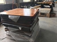 Table pliante en bois pour événements Banquet Plateau en contreplaqué avec tubes en métal noir 72 ''66'' 60 ''Table pliante ronde pour l'hospitalité