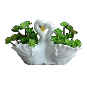 1a00 Creatieve Europa Antieke Schattige Tuin Sappige Plant Pot Keramische Zwaan Bloempotten Cactus Bonsai Plantenbakken Voor Raam
