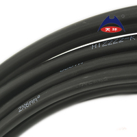 Cable Solar Doble de Alta Calidad con Certificación TUV, DC PV, 2*2.5MM2 2*4MM2 2*10MM2, Hecho de Cobre Estañado con Aislamiento XLPO