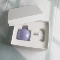 Diffuseur d'huiles essentielles artisanal en céramique de porcelaine, bouteille de 100 ml, parfum d'ambiance, désodorisant d'intérieur