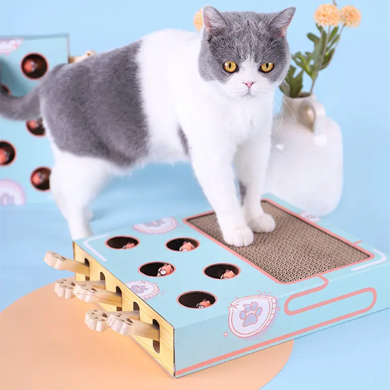 도매 고양이 장난감 2021 고양이 상자 장난감 고양이 마분지 Scratcher