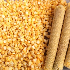 Industrial Sweet Canned Corn Production Line Niblet Kernel Threshing Blanching Washing Dewatering Packing Processing Line - Product Image 2