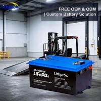 Batteria Avanzata LFP 38.4V 300AH per Movimentazione Materiali con BMS Intelligente, per Carrelli Elevatori, Certificata CE MSDS IP67 RoHS, OEM ODM