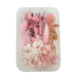 Handicraft Mixed Pack Fresh Real Pressed Natural Eucalyptus Flowers Resin Art Crafts DIY Handmade Embossed Photo Frame