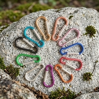 Offre Spéciale – Mousqueton d'alpinisme DN 6,1 mm en alliage d'aluminium avec anneau anti-perte et antivol pour l'escalade et le camping Qori 8-Hulu-1