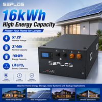 Kit de boîtier de batterie DIY Seplos 48V 51.2V LiFePO4 280Ah 306Ah 314Ah avec 16 cellules, boîtier et BMS 200A pour stockage d'énergie solaire domestique