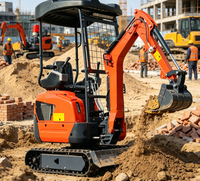 Mini-excavatrice sur chenilles de 2 tonnes avec certification CE pour la construction agricole