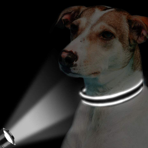 <span class=keywords><strong>Collar</strong></span> Reflectante de Nailon para Perros Pequeños y Medianos - Todas las Estaciones - Product Image 3