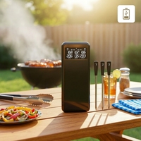 Thermomètre numérique sans fil rechargeable personnalisé avec 3 sondes, Bluetooth, étanche IP67, affichage via application pour barbecue, four, fumoir, friteuse à air