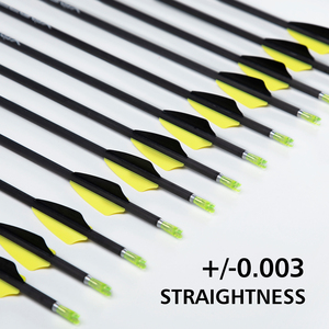 Khuyến mãi HOT! Mũi tên Carbon nguyên chất 4.2mm Sp500 600 700 800 900 1000 1300 1500 dùng cho cung <span class=keywords><strong>recurve</strong></span>/cung compound tập luyện bắn cung - Product Image 2