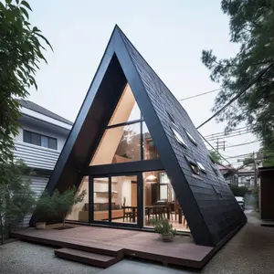 विशाल घर लक्जरी त्रिकोण आकार संरचना छोटे केबिन अन्य प्रीफैब घरों के डिजाइन