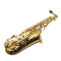 Hot Sale Professional Brass Lacquered Gold Alto Saxophone Eb Key Woodwind Instrument Saxophone with Accessories