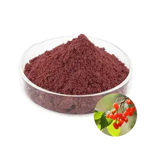 Nutrition Supplement Anthocyanin 1% Sour Cherry Fruit Extract Cherry Fruit Powder