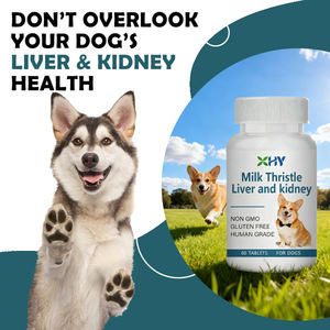 애완 동물 보충 간 및 신장 건강 정제 간 및 신장 기능 향상을위한 보충 교재 정제 우유 엉겅퀴 정제 - Product Image 4