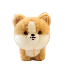 All'ingrosso Husky & Corgi animali di peluche per cani giocattoli di peluche con riempimento PP accessori per feste per cuccioli bambola regalo - Product Image 1