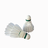 Volants de badminton NO 9 en plumes de canard - Volants d'entraînement professionnels - Vol stable - Fabrication soignée - Convient pour les sports en salle