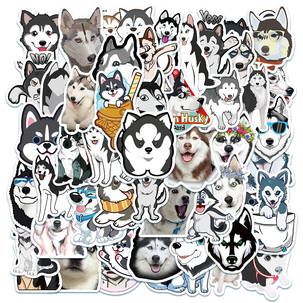 Chien 3