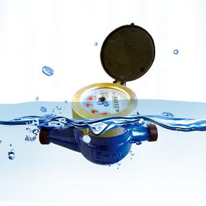 WESDOM Chian латунный корпус язычковый переключатель многоструйный Сухой Тип холодный счетчик воды - Product Image 5