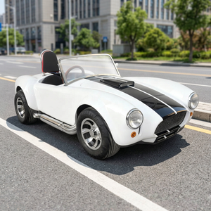 Voiturette électrique biplace de haute qualité, blanche, classique, pour le tourisme, nouvelle énergie, modèle Cobra spécial, transport spécial - Product Image 1