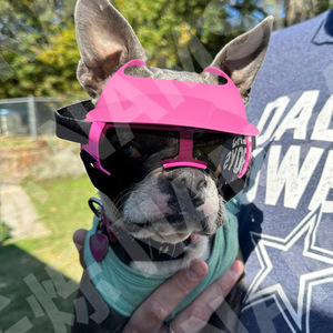 Dog Sun <b>Hat</b> And Goggles Set Summer Outdoor Lightweight Pet Eye Protection <b>For</b> Small <b>Animals</b> With Adjustable Fit - Product Image 1