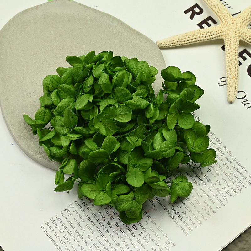 Verde hierba