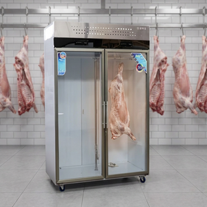 Réfrigérateur Commercial de Boucherie à Suspension de Viande, Nouveau Design, Prix Usine, Longueur 1,2 m, 2 Portes, Multi-climatisation - Product Image 5