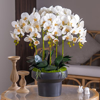 Orchidées artificielles au toucher réel en vrac, plantes en pot à 8 têtes, couleurs personnalisées pour la décoration de la maison, du jardin et des mariages