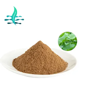 Factory supply lotus Leaf extract Nuciferine powder Blue Lotus Extract with Nuciferine 5% for loss weight with free samples