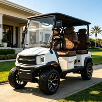 Voiturette de golf électrique 5 kW haute puissance, surélevée, avec couleur de carrosserie personnalisable et rangement supplémentaire multifonctionnel