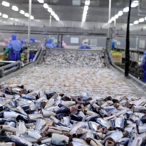 من الشركة المصنعة مباشرة ، لعملية الأسماك والجمبري - Product Image 3