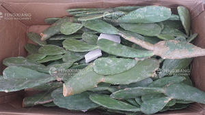 Presse-agrumes fruits légumes <span class=keywords><strong>confiture</strong></span> <span class=keywords><strong>de</strong></span> mangue faisant la machine <span class=keywords><strong>Cactus</strong></span> Commercial Blender Machine Fabrication <span class=keywords><strong>de</strong></span> machines industrielles - Product Image 2