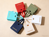 Sac cadeau minimaliste pour bijoux, petit sac de courses en papier écologique avec ruban pour boutique, faveurs de mariage, fournisseur