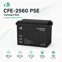 Batterie LiFePO4 LFP CFE-2560 PSE 12,8V 200Ah avec BMS IP65, 3000 cycles, pour onduleur Renogy, solaire marin et alimentation de secours solaire