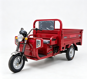 Triciclo Eléctrico <span class=keywords><strong>Wolverine</strong></span> de Carga con Certificación DOT, Precio de Fábrica, 400 kg de Carga Útil y 70 km/h de Velocidad, Tanzania del Sur - Product Image 6