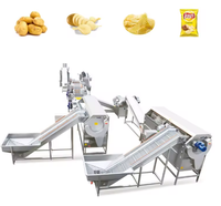Machine à Frire les Frites Commerciale 300 kg/h Ligne de Production Automatique de Pommes de Terre Fraîches
