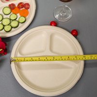 Assiette jetable en bagasse de 10 pouces, 3 compartiments, emballage alimentaire pour événements extérieurs et réunions de famille – Meilleures ventes