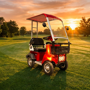 Voiturette électrique monoplace 60V, autonomie 41-59 km, avec auvent solaire, pour club de <span class=keywords><strong>golf</strong></span>, complexe hôtelier, navette à basse vitesse - Product Image 1