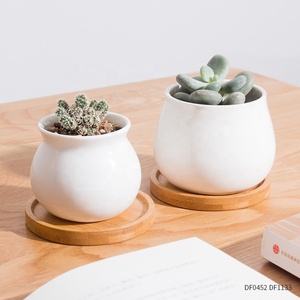 Mini pot <span class=keywords><strong>de</strong></span> plantes blanc personnalisé, plateau en bambou, petit pot <span class=keywords><strong>de</strong></span> fleurs, jardinière succulente en céramique avec soucoupe - Product Image 2