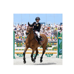 Highest Barriers to Frame Horse <strong>Jump</strong> Poles Horse <strong>Jump</strong> - Product Image 2